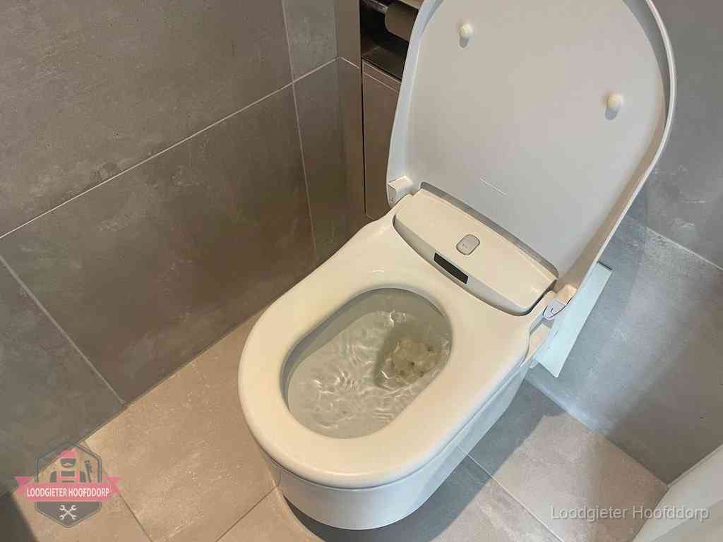 Wc Verstopt In Hoofddorp Wc Verstopt In Hoofddorp